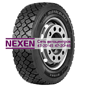 Royal Black 215/75R17,5 128/126M DV002 TL