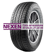 majoris r1